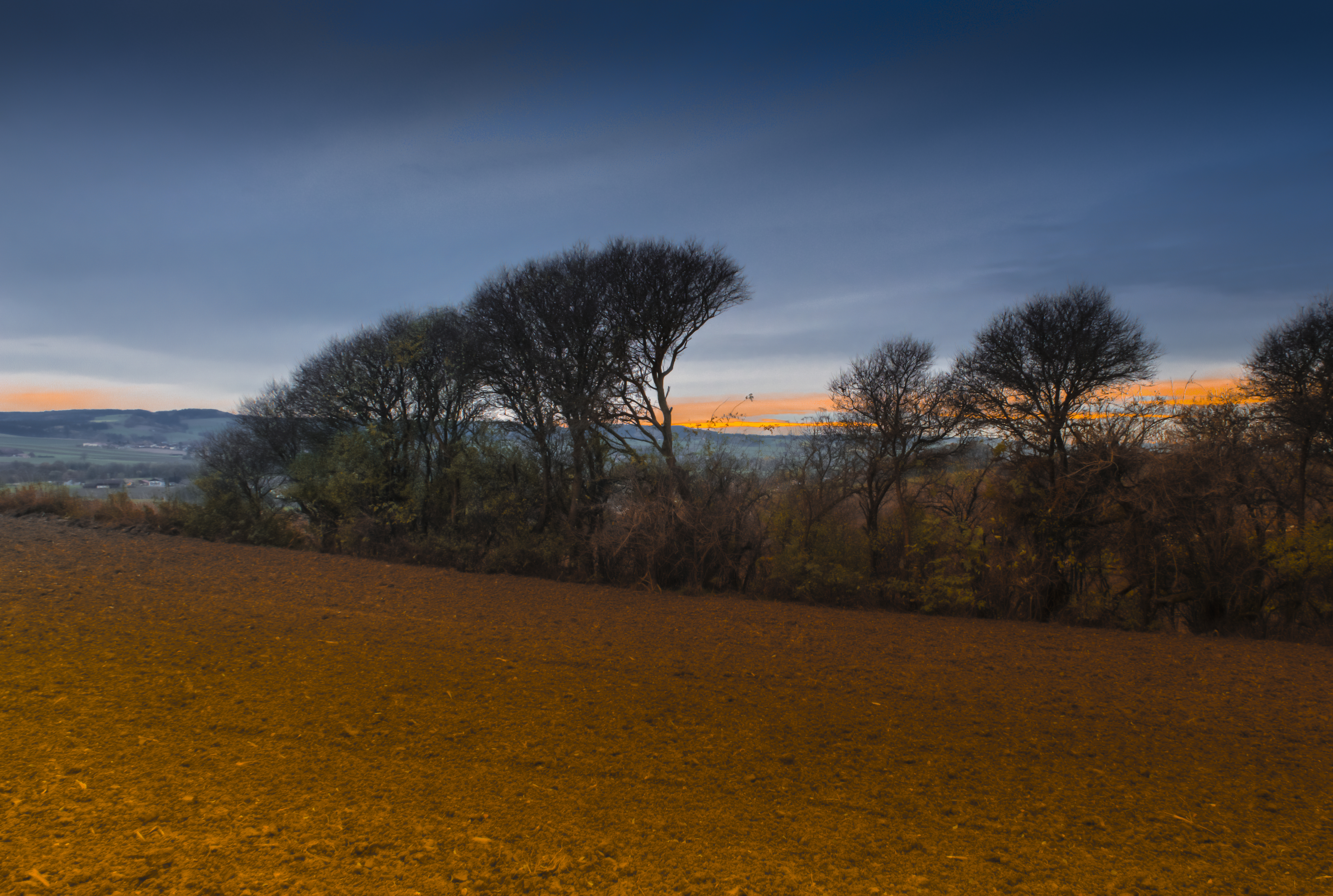 Bavarian November Shape